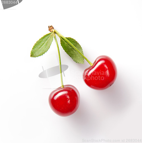 Image of Red cherry with leaves on white