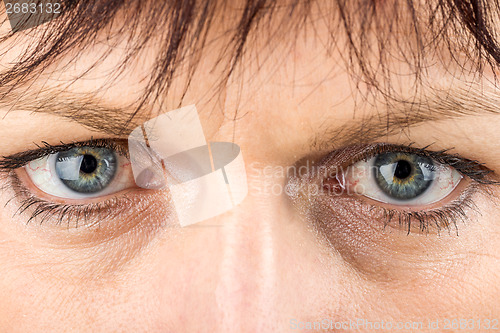 Image of middle age woman eyes macro