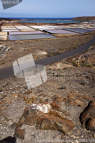 Image of salt in  lanzarote spain musk po  coastline and summer 