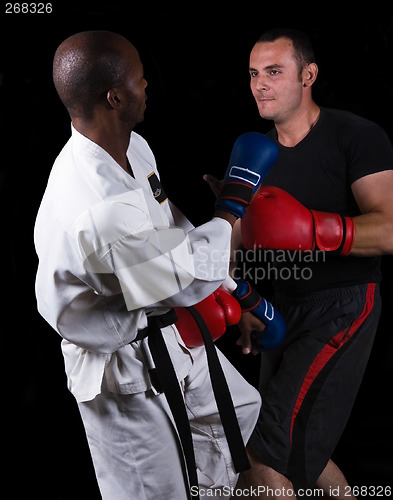 Image of Kickboxing versus karate