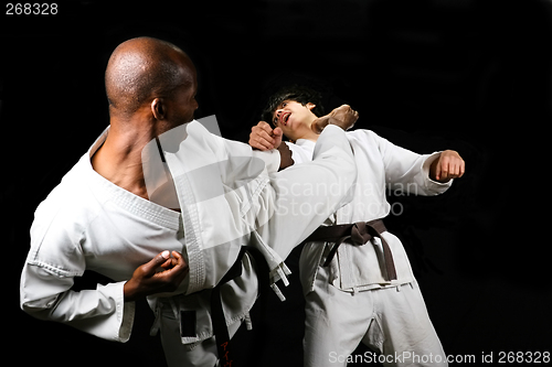 Image of Karate fight