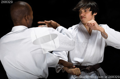 Image of Karate fight