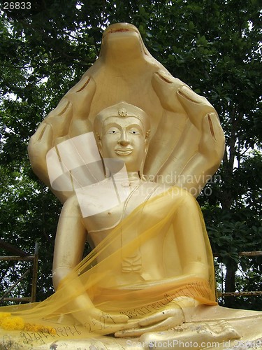 Image of Golden Buddha