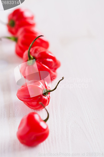 Image of Red chili peppers