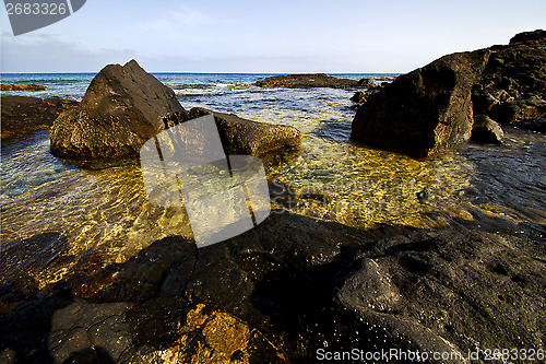 Image of froth coastline in lanzarote  musk  and summer    