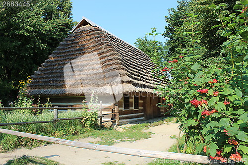 Image of clustered red guelder-rose besides an rural house