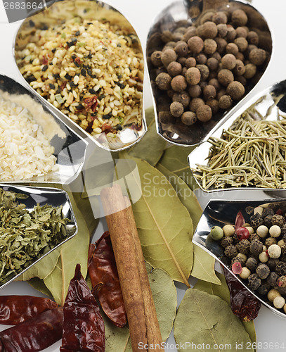 Image of Spices And Herbs