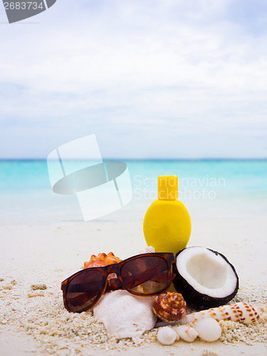 Image of Chopped coconut on the beach