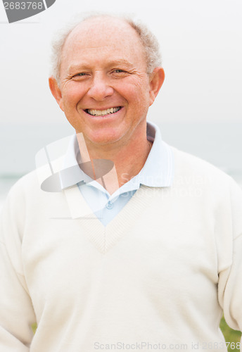 Image of Smiling senior man posing in beach