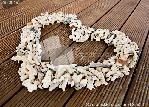 Image of Seashells on plank wood