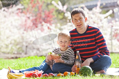Image of family picnic