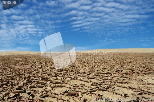 Image of very dry sand