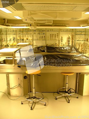 Image of autopsy room in a medical faculty