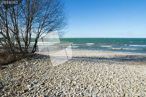Image of Coast of Baltic sea covered by a pebble
