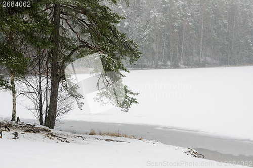 Image of Cloudy snow landscape at wood lake