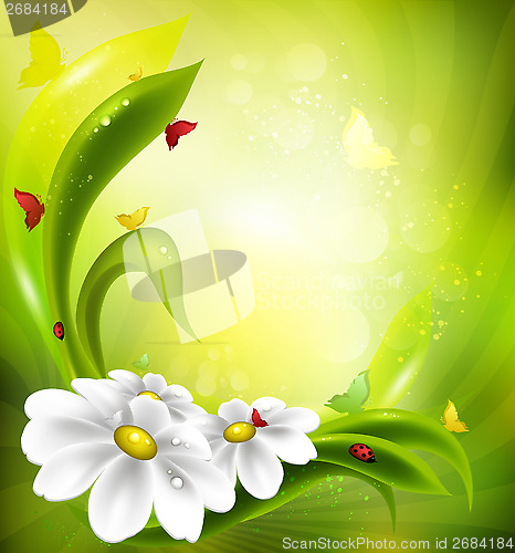 Image of Summer Background