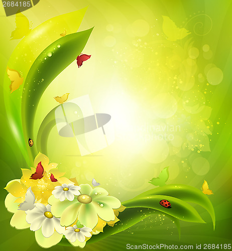 Image of Summer Background