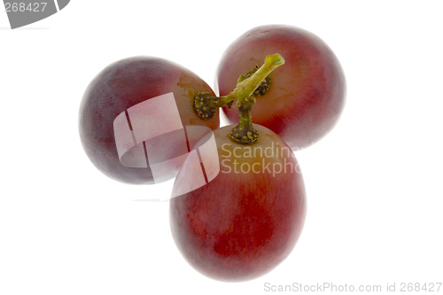 Image of Three Red Globe grapes

