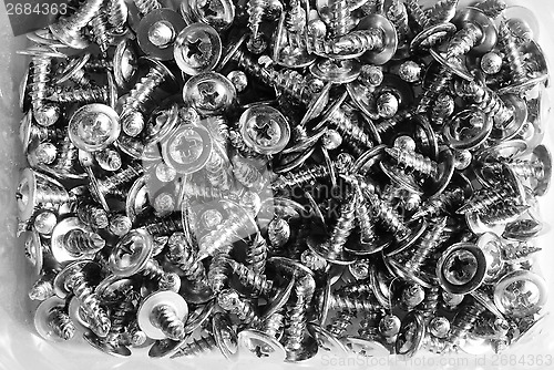 Image of many screws closeup