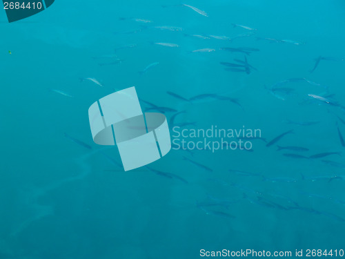 Image of Water background
