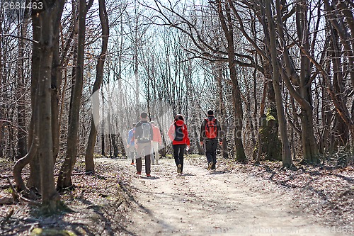 Image of Hiking in the woods