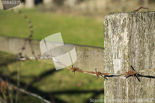 Image of Barbed wire