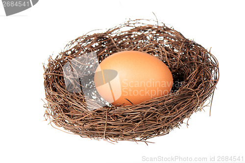 Image of Bird's nest with an egg