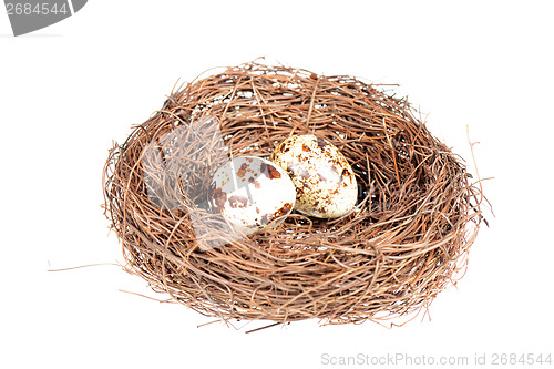 Image of Bird's nest with two eggs