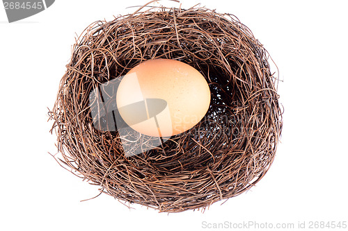 Image of Bird's nest and egg