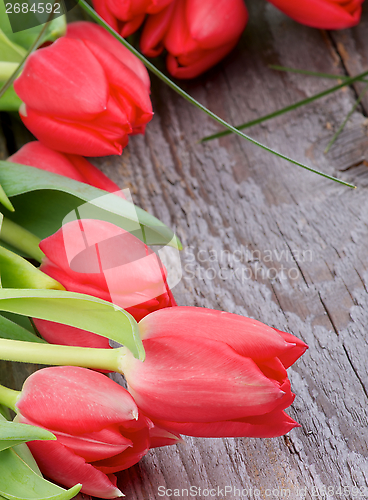 Image of Spring Tulips