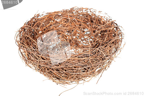 Image of Bird's nest 