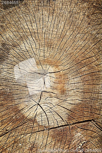 Image of Wooden background