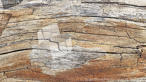 Image of Wooden texture