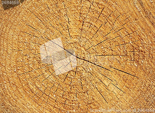Image of  Wooden textured