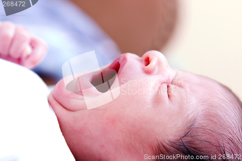 Image of The big yawn