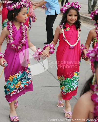 Image of Tropical festival