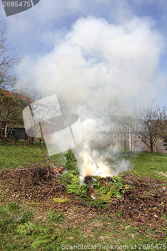 Image of Fire on the lawn