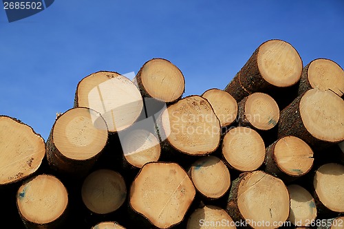 Image of Timber Logs and Blue Sky