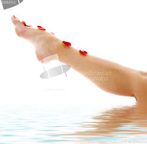 Image of leg with red rose petals in water