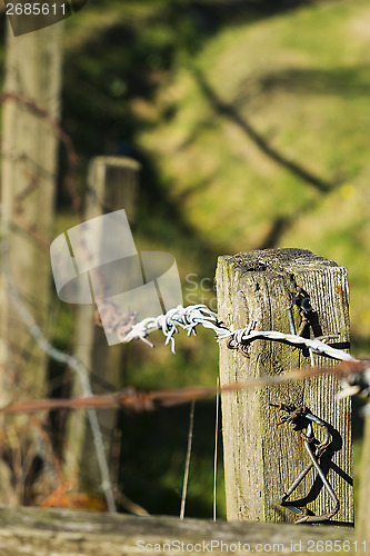 Image of Barbed wire