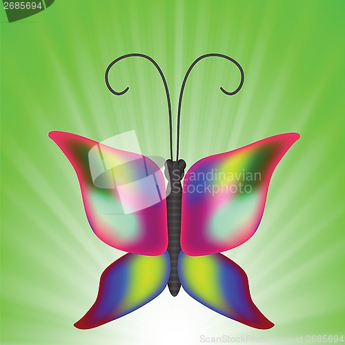 Image of butterfly