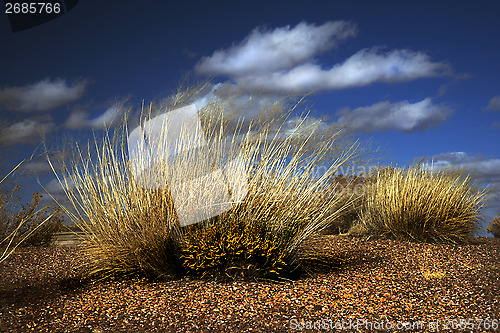 Image of Painted Desert