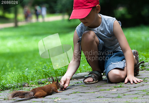 Image of Little boy and squirrel