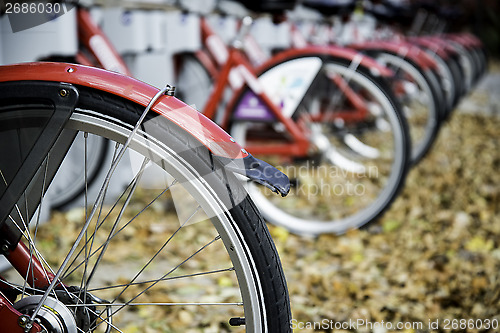 Image of City rental bicycles