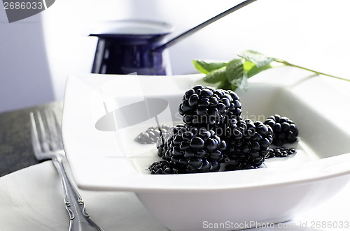 Image of Bowl of fresh blackberries and milk.
