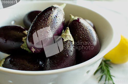 Image of Indian Eggplant