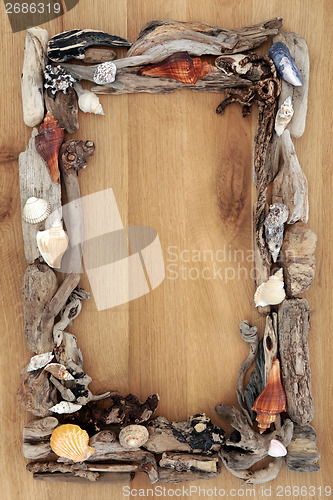 Image of Driftwood on Oak Border