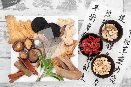 Image of Chinese Herbal Medicine