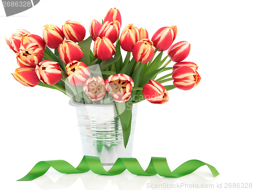 Image of Spring Beauty