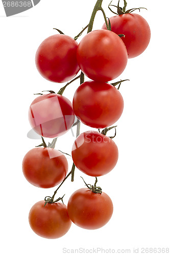 Image of Eco Tomatoes